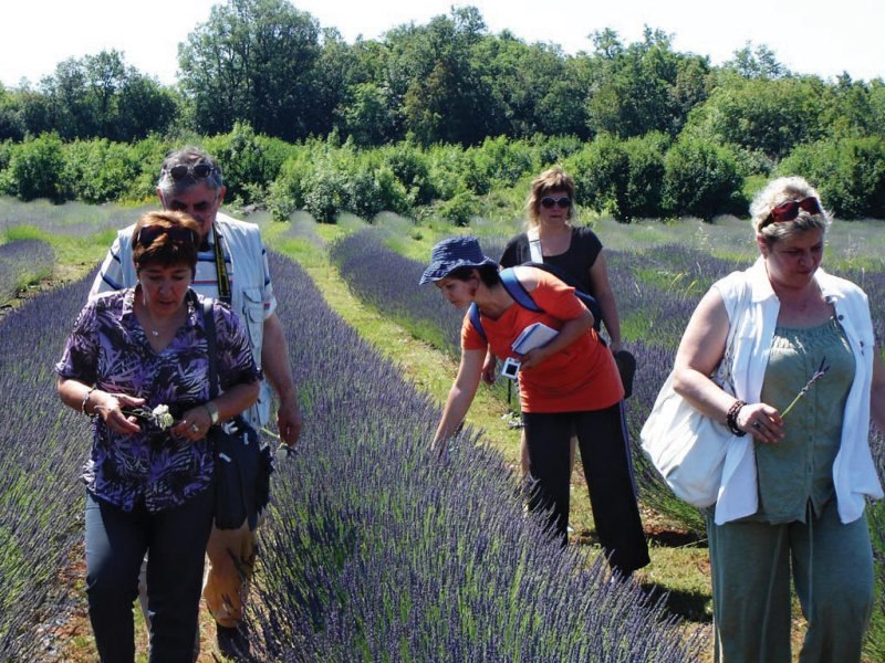 lidija delić galbanum 1
