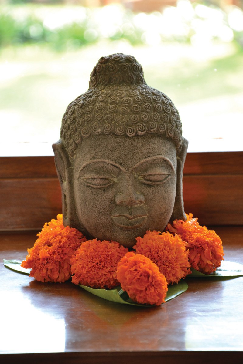 Shreyas Retreat u Indiji 1