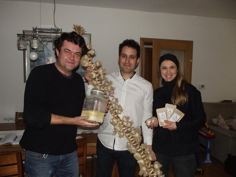 češnjak knežević