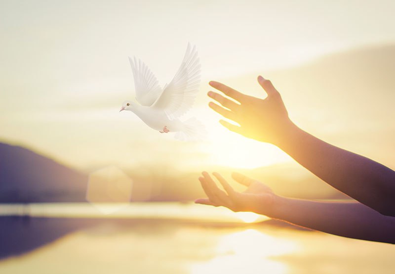 ruke vjera duhovnost