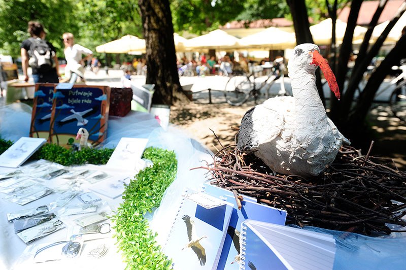 Dan bioraznolikosti Maksimir 8