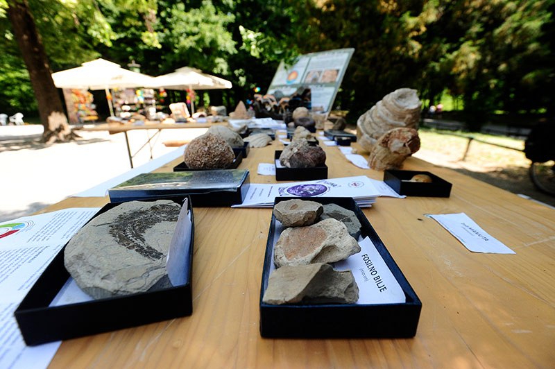 Dan bioraznolikosti Maksimir 9