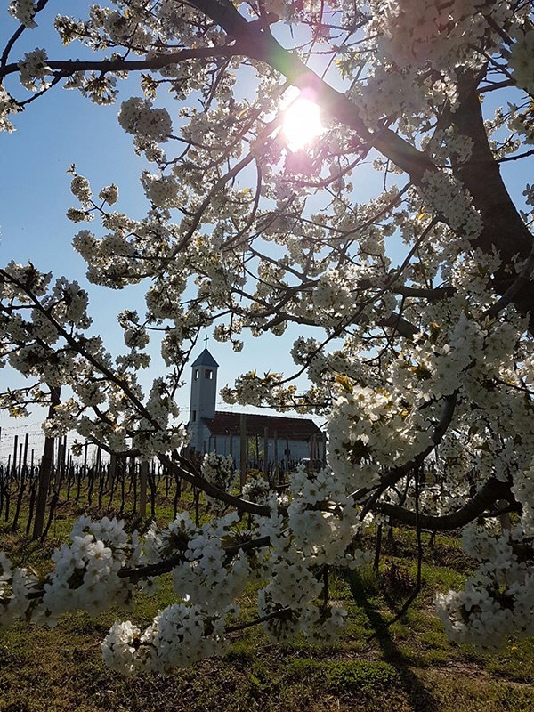 marijansko svetište Pleternica