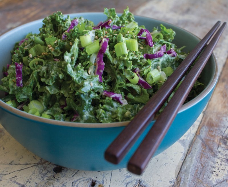 hrana medicinski medij