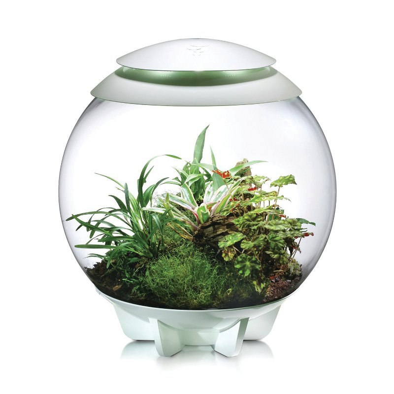 pametni minivrt za radni stol