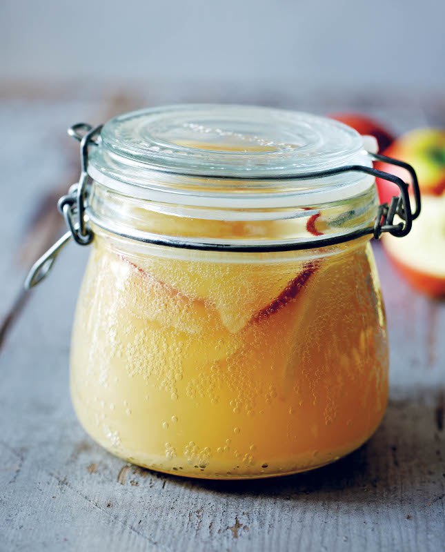 domaći fermentirani gazirani napitci