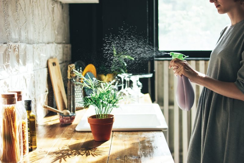 ekološko čišćenje