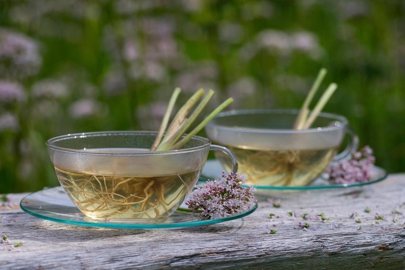 korijen valerijane, čaj