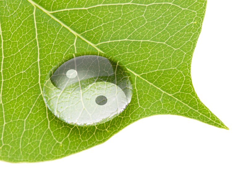 yin i yang