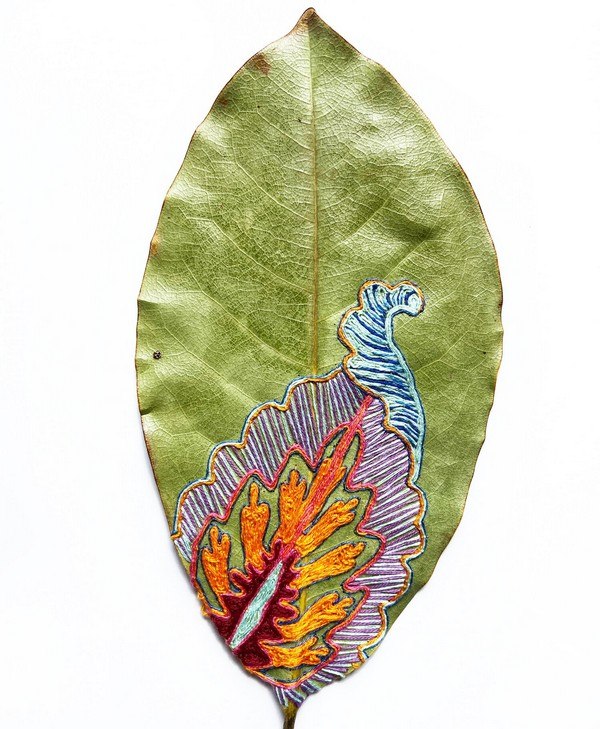 Hillary Waters Fayle 3