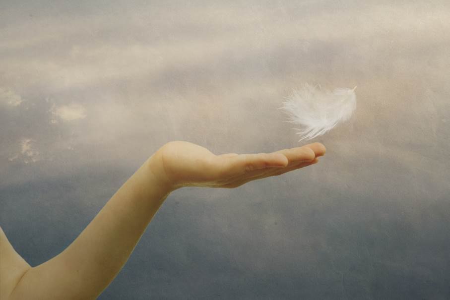 shutterstock_191563937