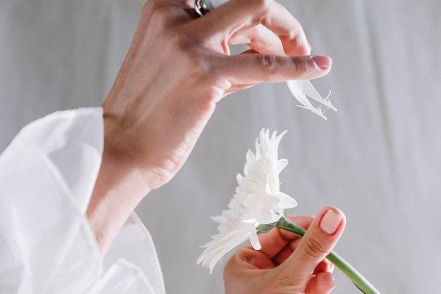 pexels-photo-4659703