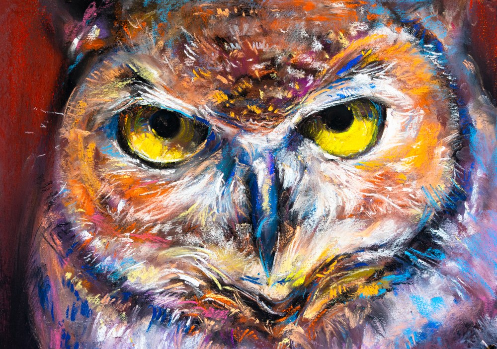 Kakve nam poruke nosi sova