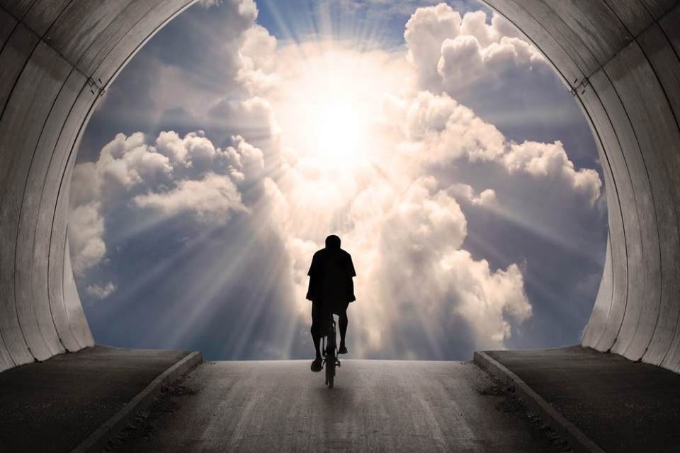 Ciklusi života mijenjaju se svakih 7 godina