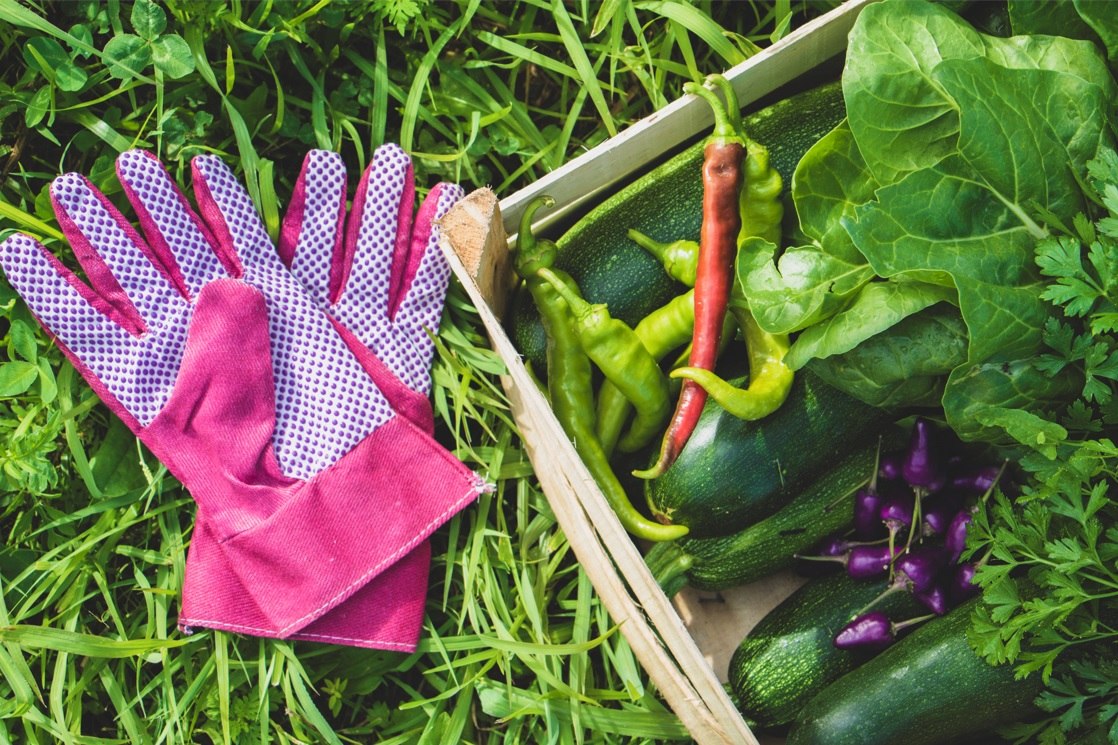 Gruntek je prvi digitalni vrt u Hrvatskoj