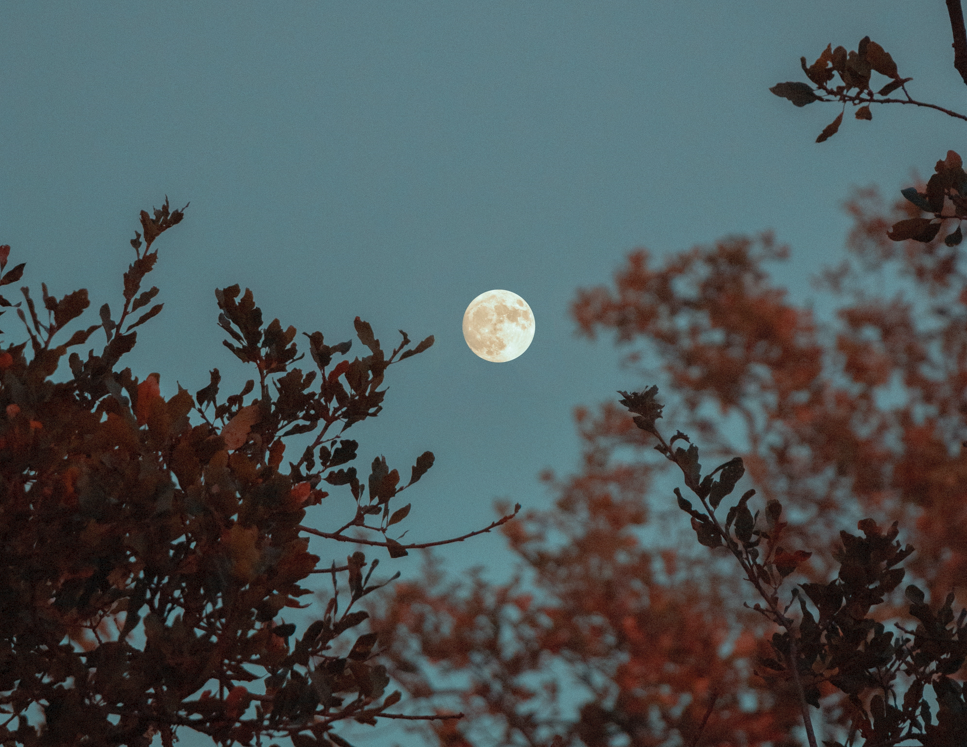 Horoskop Pun Mjesec u Blizancima 2021