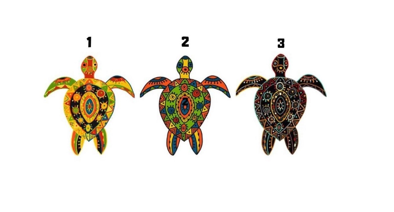 Test osobnosti s kornjačom otkriva budućnost