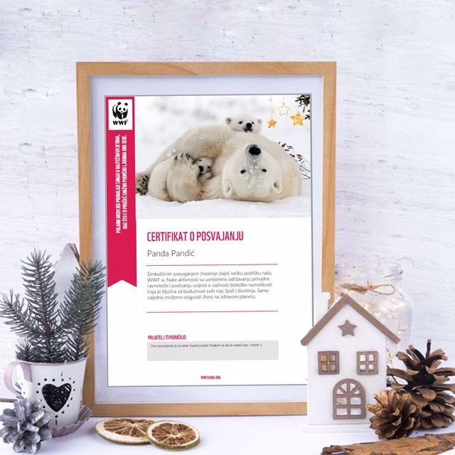 certifikat - polarni_640x640.jpg