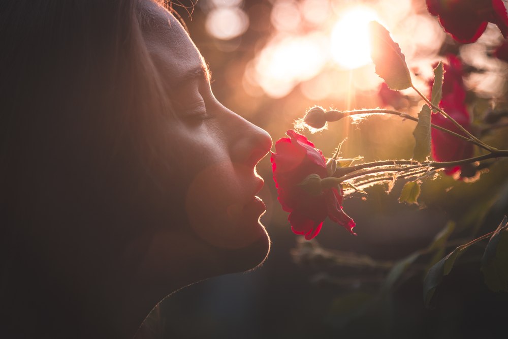 Radionica Buđenje Petre Brzović