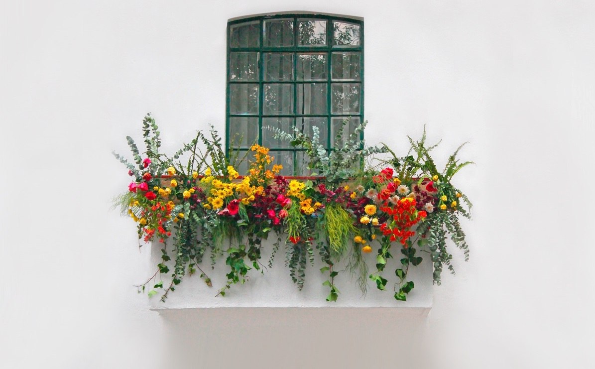 Dnevni horoskop za 29 ožujak 2022