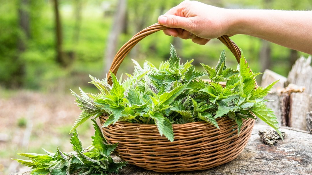 shutterstock_1402731692 (1).jpg