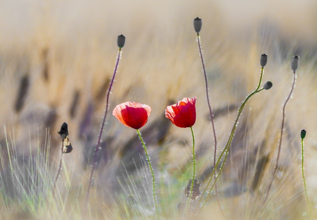 Dnevni horoskop za 19 svibanj 2022