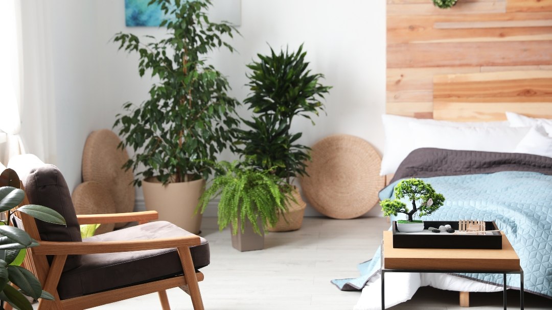 Feng shui prognoza za lipanj 2022