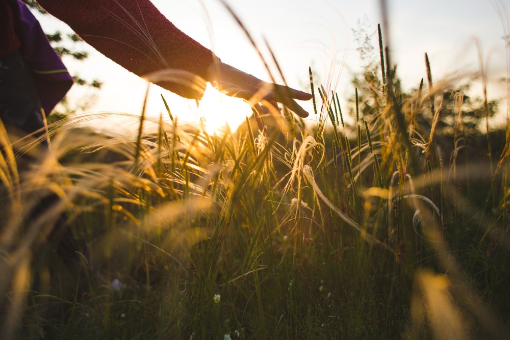 5 riječi koje privlače sreću