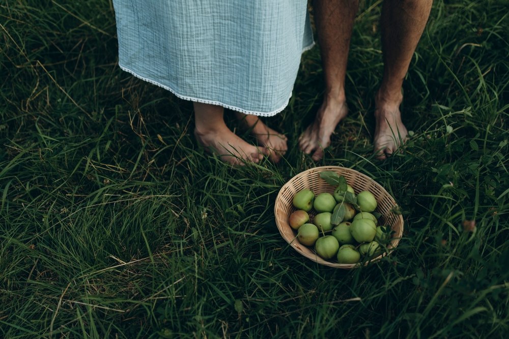 Dnevni horoskop za 6 rujan 2022