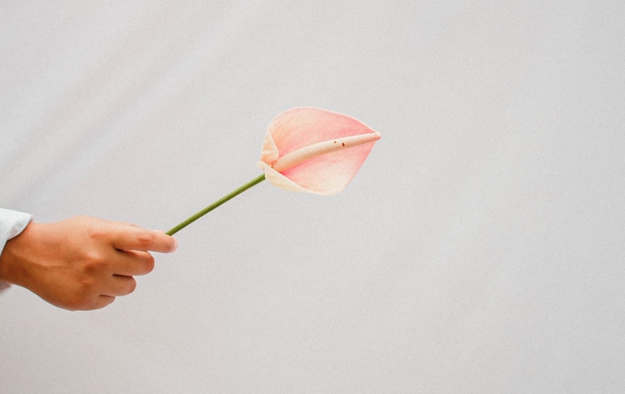 Dnevni horoskop za 7 rujan 2022