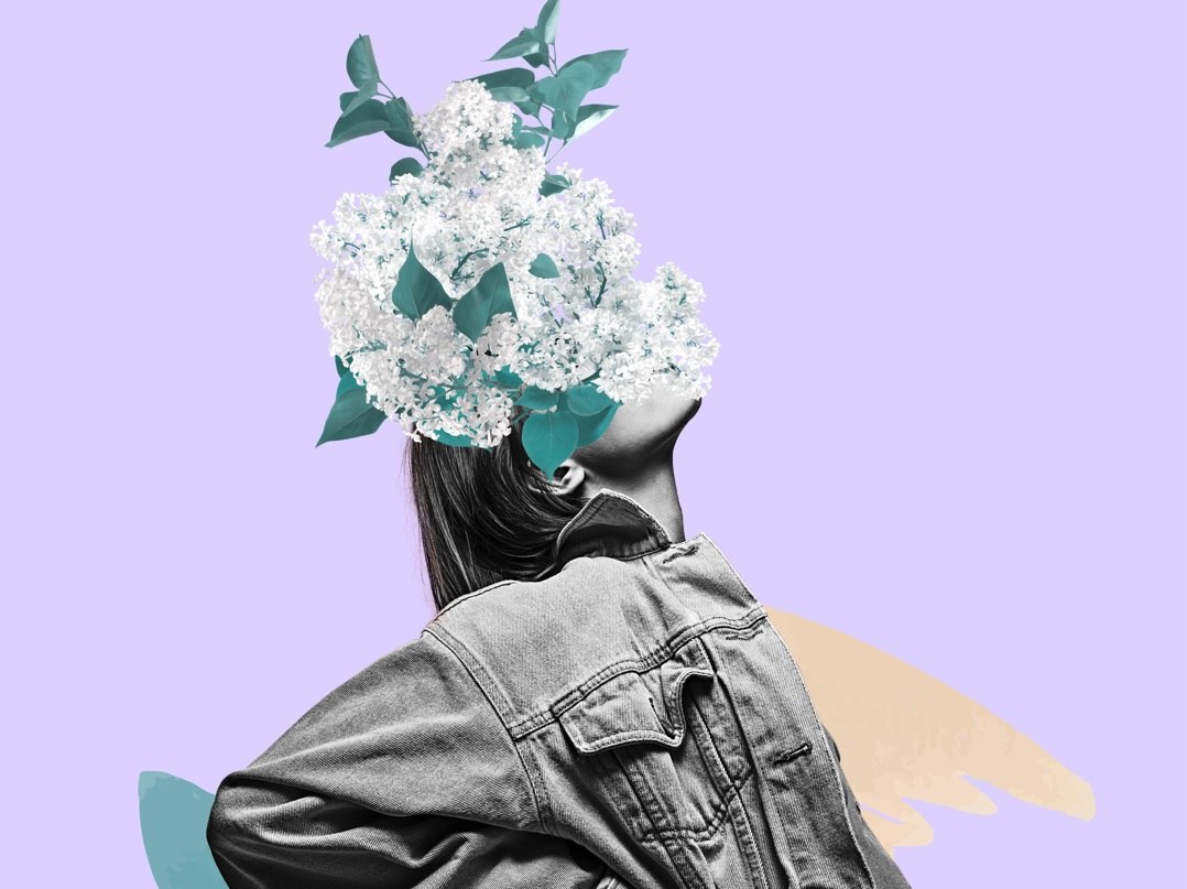 ilustracija cvijeće