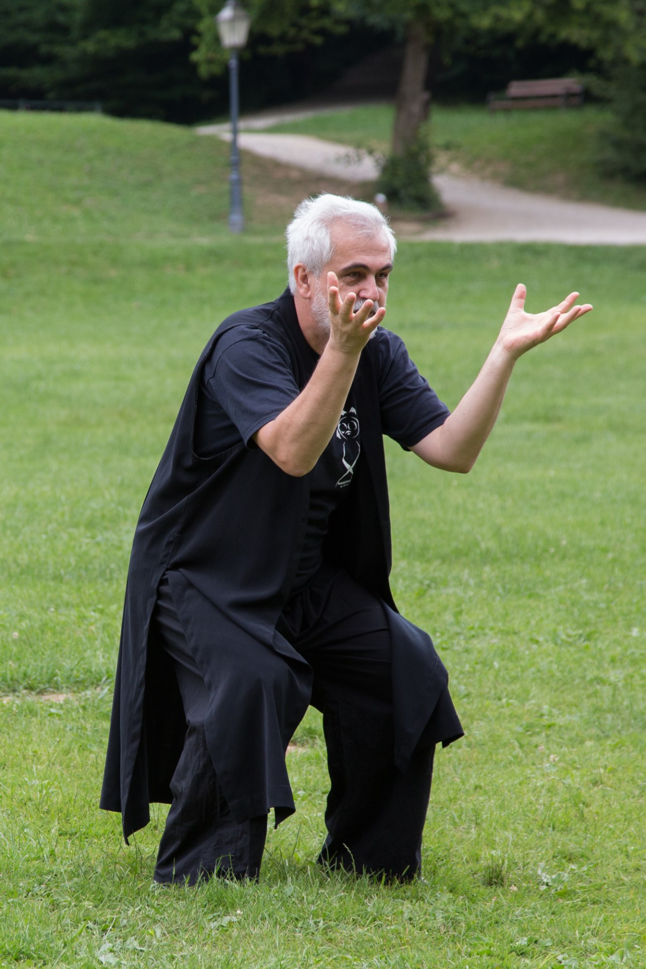 Boro Ranitović, tai chi