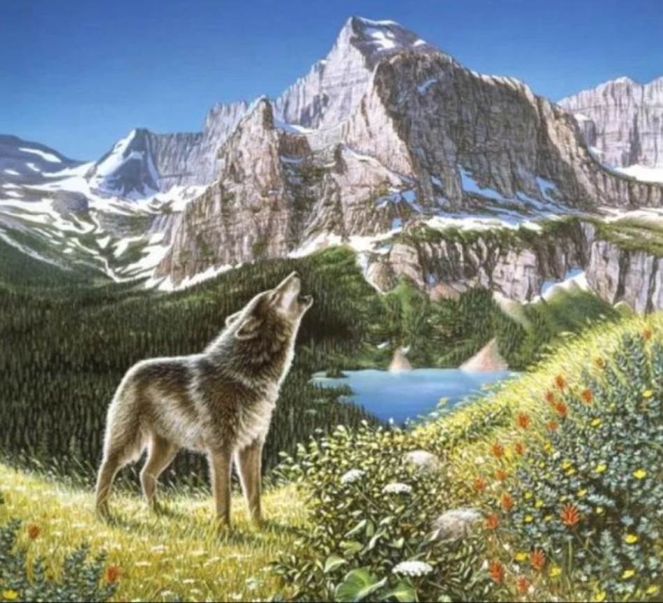 Test osobnosti otkriva kakva je vaša intuicija