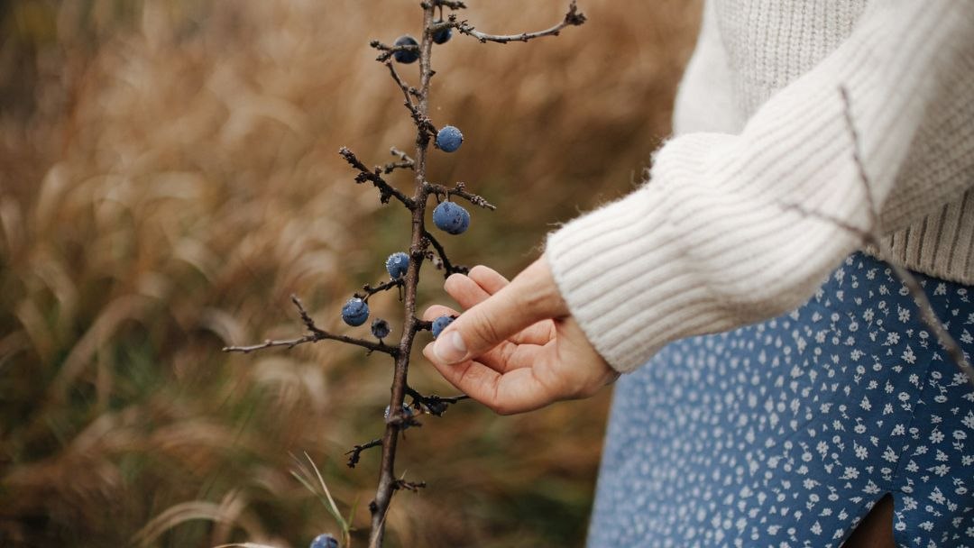 tjedni horosko od 4 do 10 prosinca 2023.jpg