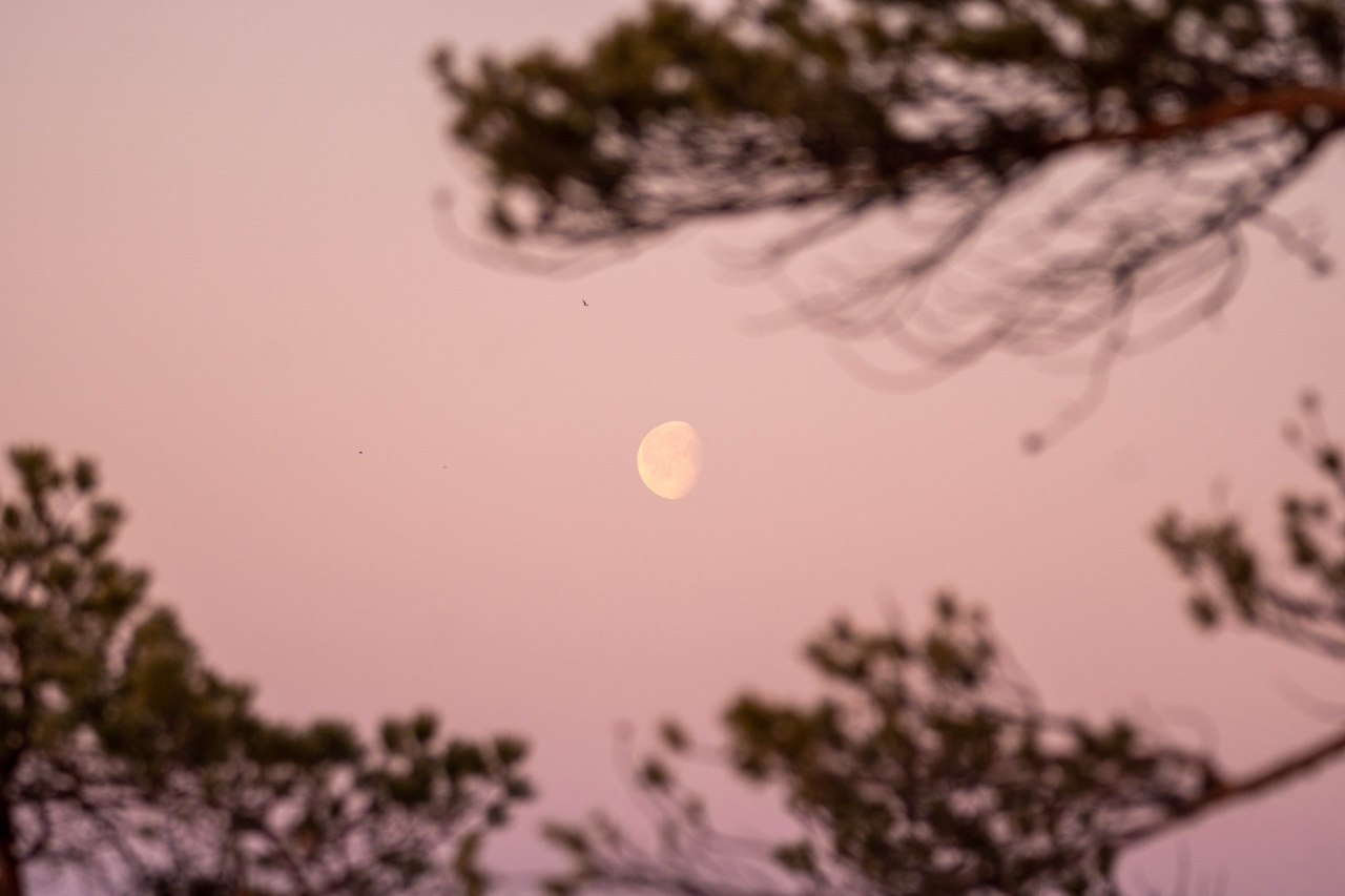 mladi mjesec u strijelcu