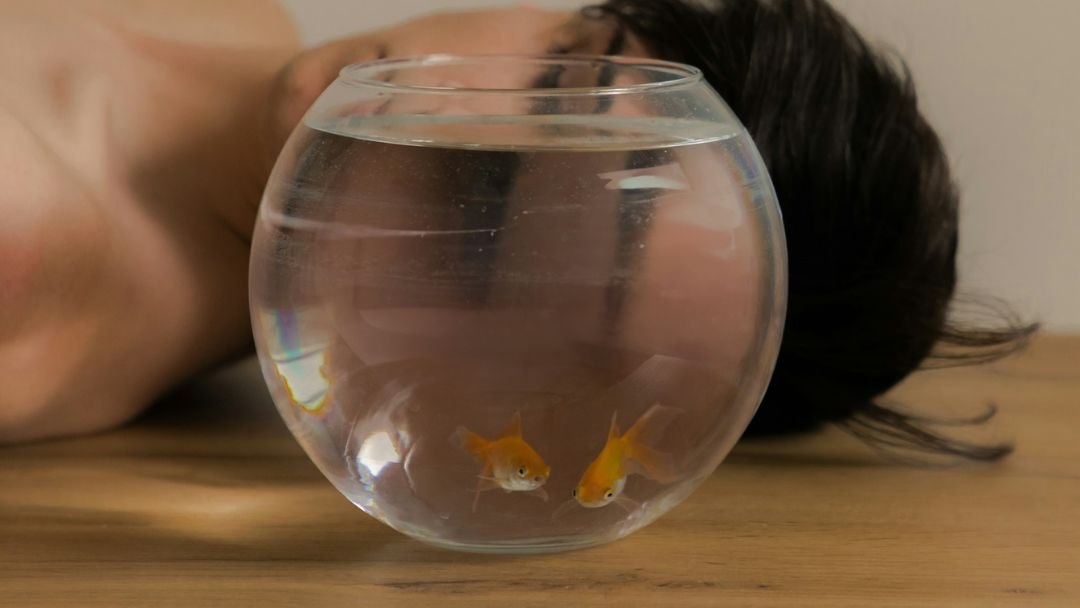 sensa mjesečni horoskop za ribe