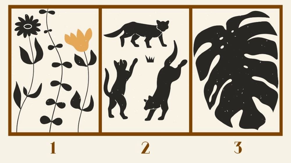 test osobnosti sensa.jpg