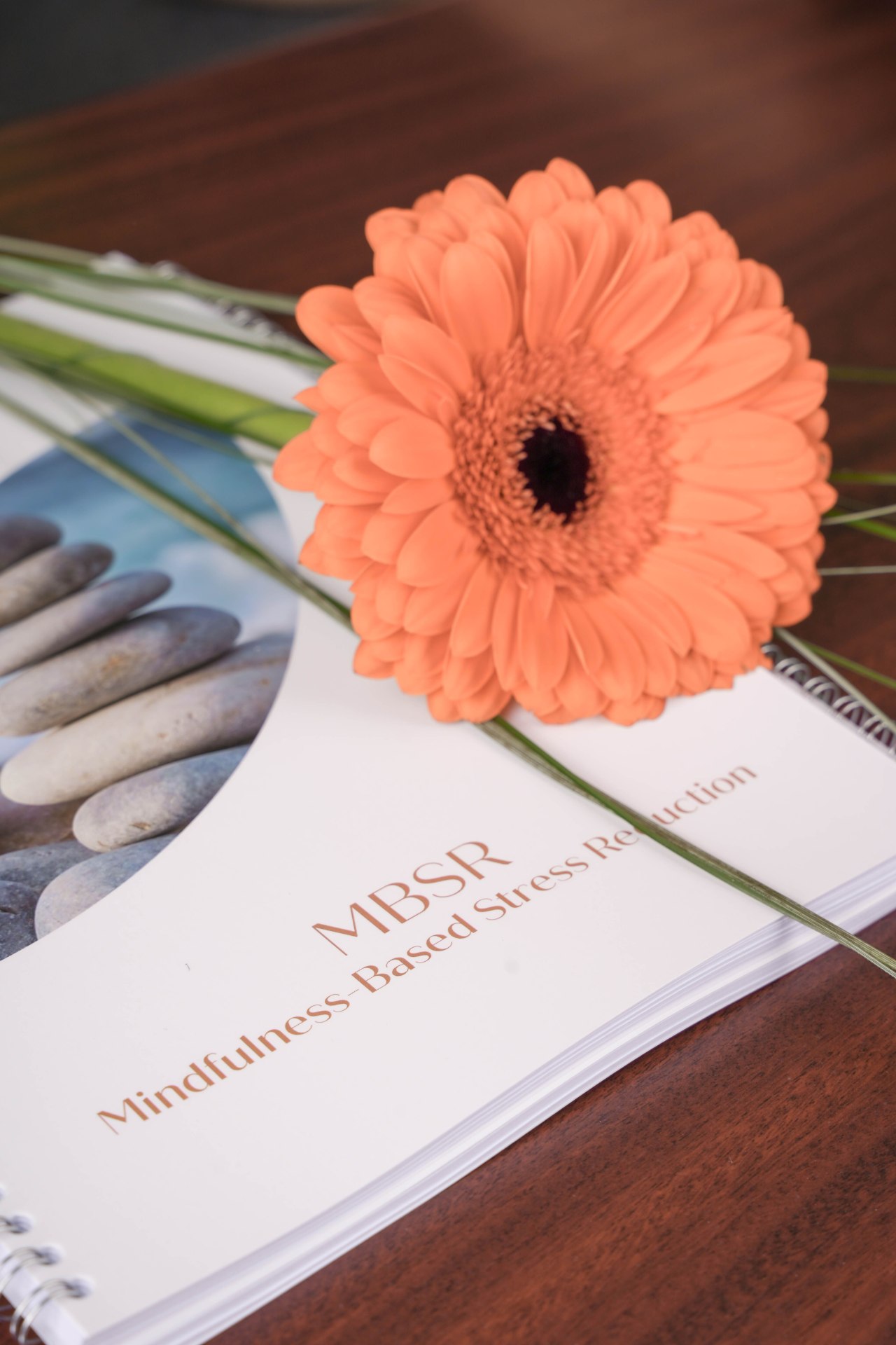 Centar za mindfulness LAR