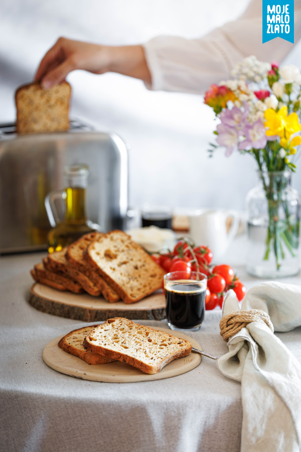 vital okomito toster logo.png