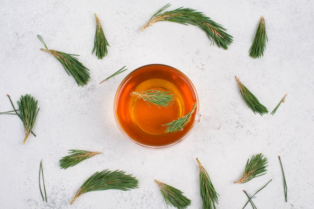 čaj od borovih iglica