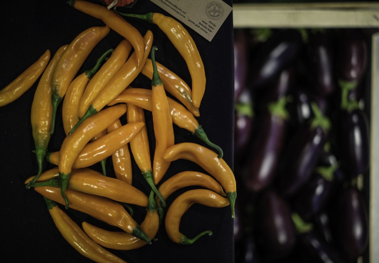 Papric╠îice_S Kas╠îtelan.jpg