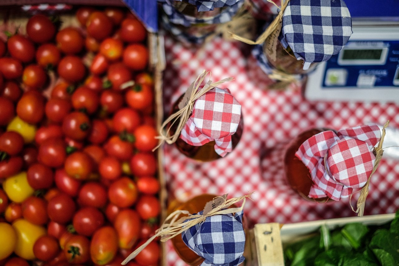 Zimnica_Sanjin Kas╠îtelan.jpg