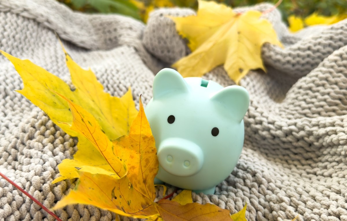 Bogatstvo kasica.jpg