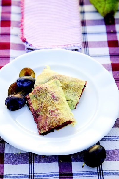 Savijača od šljiva