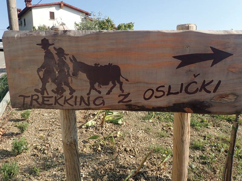 dolina soče
