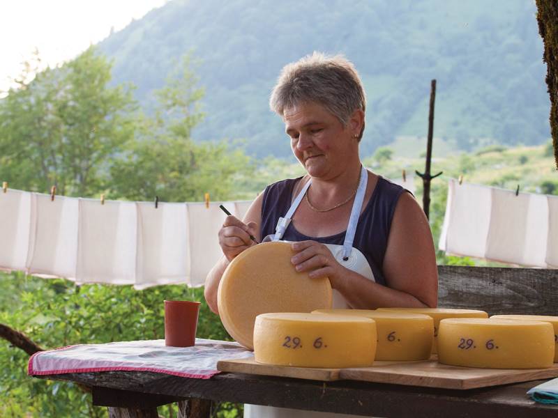 dolina soče