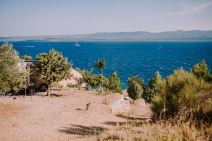 Camp Aloa