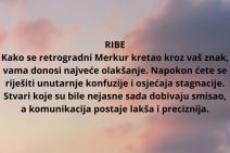 KRKRK.jpg