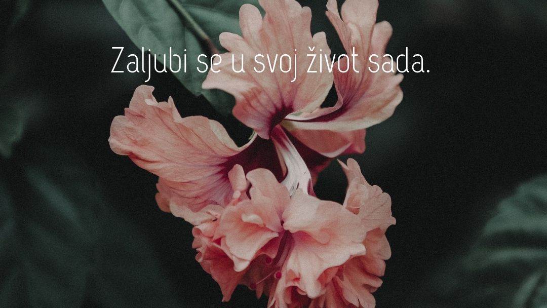 horoskop - 2022-04-19T151706.296.jpg