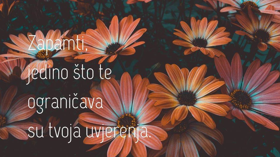 horoskop - 2022-04-19T152342.013.jpg